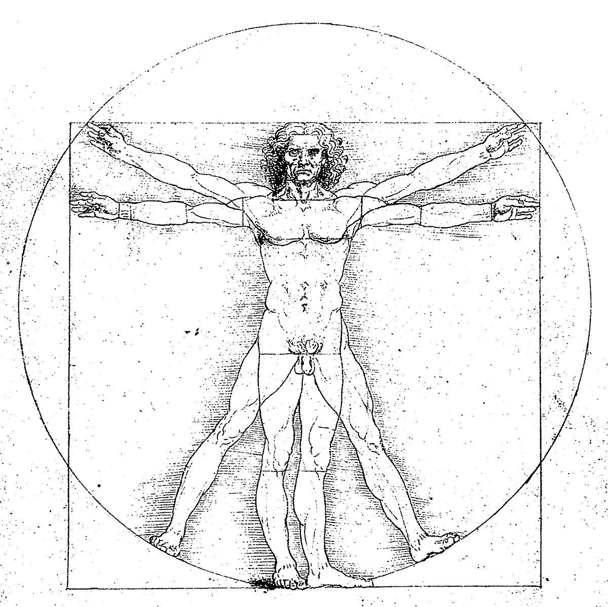 Vitruvian Man